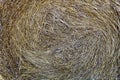 Straw texture in one bunch in a bundle