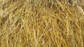 Straw texture ruminants animal food background Royalty Free Stock Photo