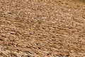 Straw Thatched Roof Royalty Free Stock Photo