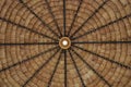 Straw thatched roof background with light bulb