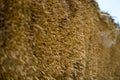 straw from thatched roof Royalty Free Stock Photo