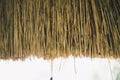 straw from thatched roof Royalty Free Stock Photo