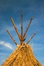 Straw thatched roof Royalty Free Stock Photo