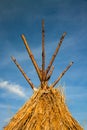 Straw thatched roof