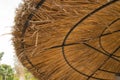 Straw umbrellas on the beach in Palma de Mallorca, Close-up against trees Royalty Free Stock Photo