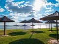 Straw umbrellas on green grass harsh shadow, sand beach vivid blue sea water sky background sunbeam. Scenic landscape