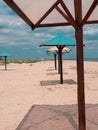 Straw umbrellas on green grass harsh shadow, sand beach vivid blue sea water sky background sunbeam. Scenic landscape