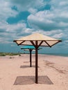 Straw umbrellas on green grass harsh shadow, sand beach vivid blue sea water sky background sunbeam. Scenic landscape