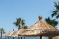 Straw umbrellas with palm trees on the beach against the sea and sky Royalty Free Stock Photo