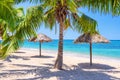 Straw umbrellas and palm trees on a tropical beach Royalty Free Stock Photo