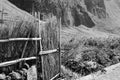 A straw and wood fence with a gate near countryside fields Madeira, Portugal,Europe Royalty Free Stock Photo