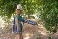 Straw and wood scarecrow dressed in plaid shirt with raised hand and gloves in the shadow of the botanical garden