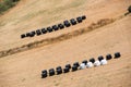 Strawbales in plastic wrap Royalty Free Stock Photo