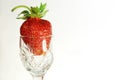 Strawbberries and kiwi Royalty Free Stock Photo