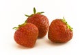Strawbeery Fruit group Royalty Free Stock Photo