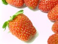 Strawberries Royalty Free Stock Photo