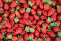 Strawberries Royalty Free Stock Photo