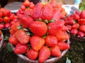 Strawberries Royalty Free Stock Photo