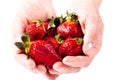 Strawberries Royalty Free Stock Photo