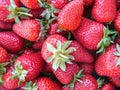 Strawberries Royalty Free Stock Photo