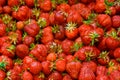 Strawberries Royalty Free Stock Photo