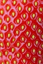 Strawberries background Royalty Free Stock Photo