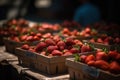 many baskets with fresh ripe strawberries for sale at a farmer's market close-up Royalty Free Stock Photo