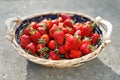 Strawberries basket on gray concrete background Royalty Free Stock Photo