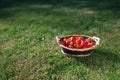 Strawberries basket on green lawn background Royalty Free Stock Photo