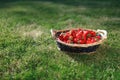 Strawberries basket on green lawn background Royalty Free Stock Photo