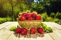 strawberries in basket, strawberry basket, strawberries on wooden table, strawberry, basket with strawberries, strawberries in na Royalty Free Stock Photo