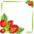 Strawberries, beautiful frame. The poster, empty space