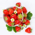 Strawberries berries fruits strawberry berry fruit square in a bowl Royalty Free Stock Photo