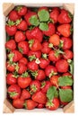 Strawberries berry fruits harvest in wooden box from above