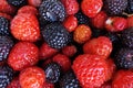 strawberries blackberries as very nice food background Royalty Free Stock Photo