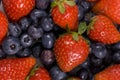 Strawberries and Blueberries