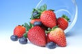 Strawberries and blueberries Royalty Free Stock Photo