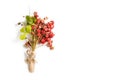 Strawberries. bouquet of berries and leaves of wild strawberry isolated on white background. Royalty Free Stock Photo