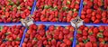 strawberries in the box at the greengrocer Royalty Free Stock Photo