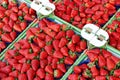 Strawberries in boxes. Royalty Free Stock Photo