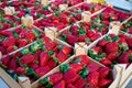 Strawberries boxes baskets texture in market Royalty Free Stock Photo