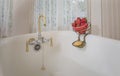Strawberries in brass hanger on side of old bath tub Royalty Free Stock Photo