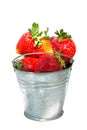Strawberries bucket full, Royalty Free Stock Photo