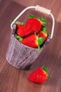 Strawberries in a bucket Royalty Free Stock Photo