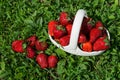 Strawberries in ceramic basket on grass