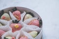 Gourmet chocolate covered strawberries in a round gift box