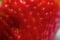 Strawberries. Close-up. Macro, Strawberry texture background Royalty Free Stock Photo