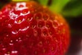 Strawberries. Close-up. Macro, Strawberry texture background Royalty Free Stock Photo