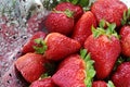 Strawberries in colander Royalty Free Stock Photo