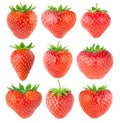 Strawberries of different shapes collection Royalty Free Stock Photo